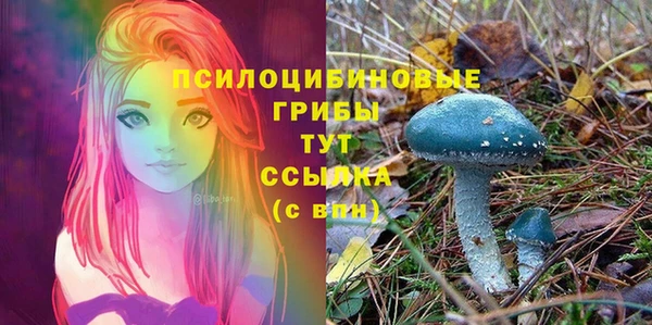 первитин Алексеевка