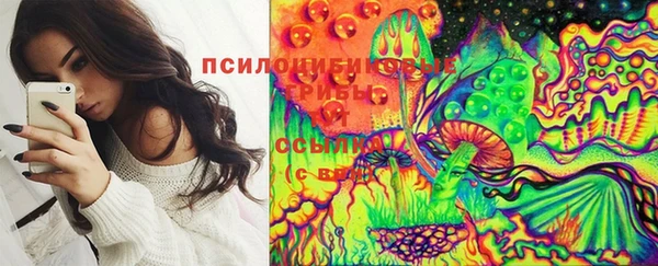 ешки Алзамай