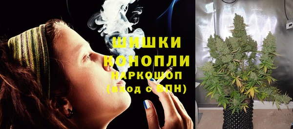 ешки Алзамай
